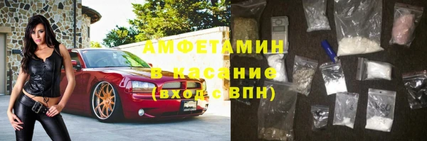 ECSTASY Лагань