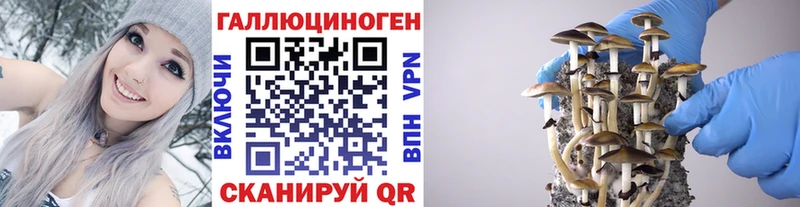 Псилоцибиновые грибы GOLDEN TEACHER Дмитров