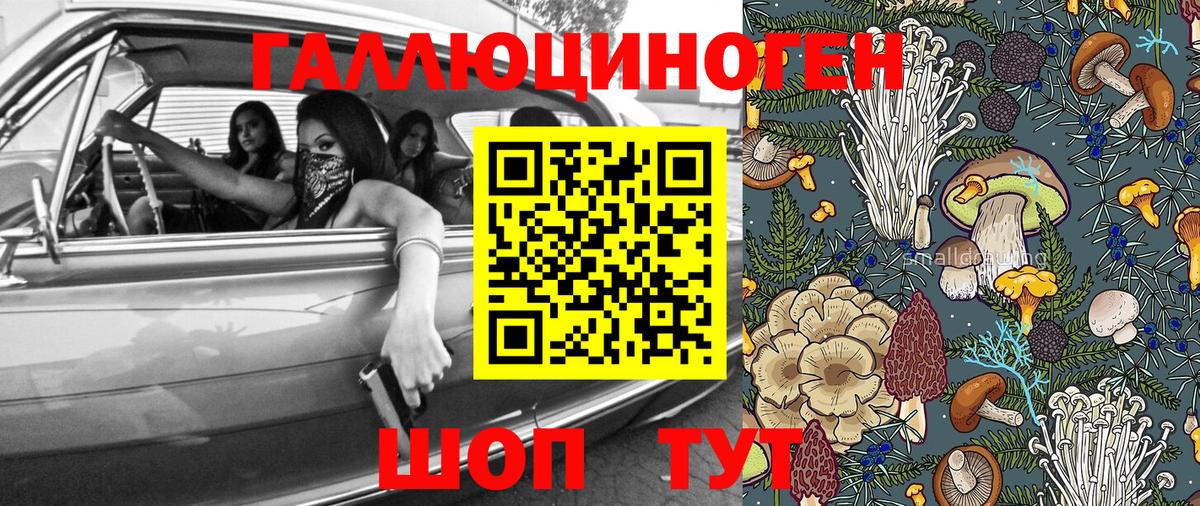 Галлюциногенные грибы мухоморы Дмитров