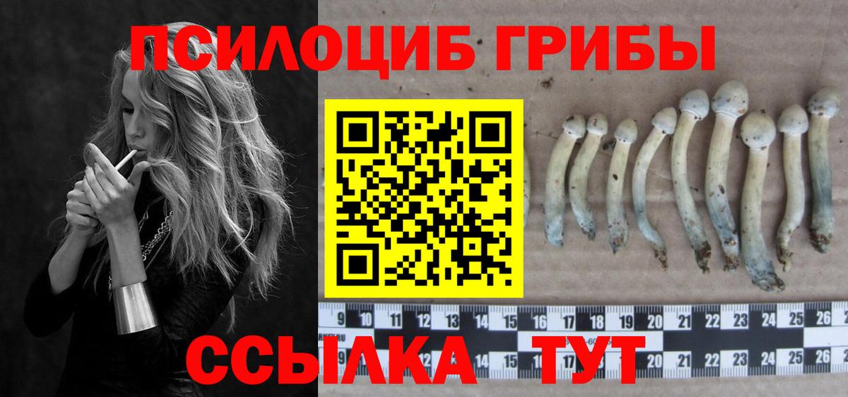 Псилоцибиновые грибы Magic Shrooms Дмитров