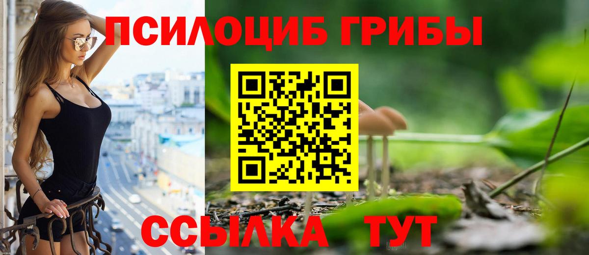 Дмитров  Псилоцибиновые грибы Psilocybe  Вход с VPN  Псилоцибиновые грибы Psilocybe 
