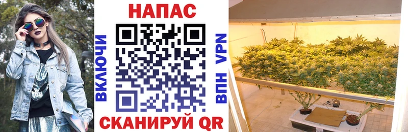 дарнет шоп  Дмитров  Бошки Шишки индика 