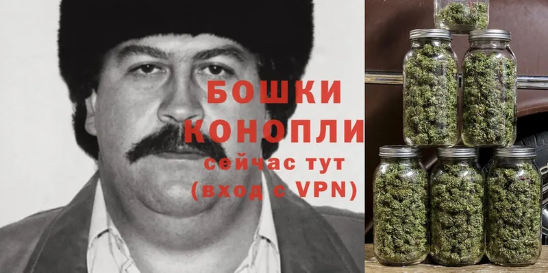 Каннабис White Widow  купить закладку  Дмитров 